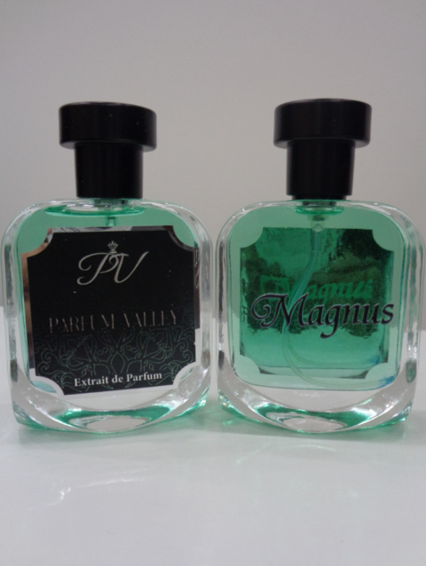 Magnus – Chypre Fruity Oriental Perfume for Men 50ml -01