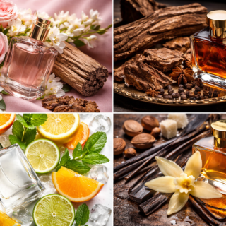 Shop by Scent Family