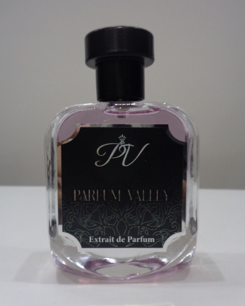 Velours – Woody Aromatic Unisex Perfume 50ML - 02