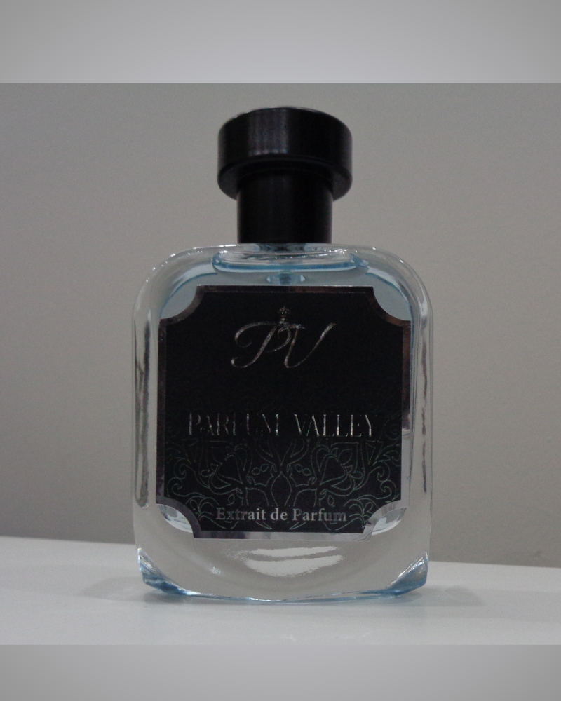 Vivien – Chypre Fruity Woody Spicy Perfume for Men 50ml 2